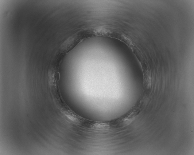 X0000072920619200608041152