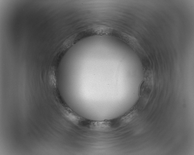 X0000072920622200608041152
