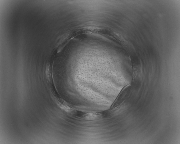 X0000072920623200608041151