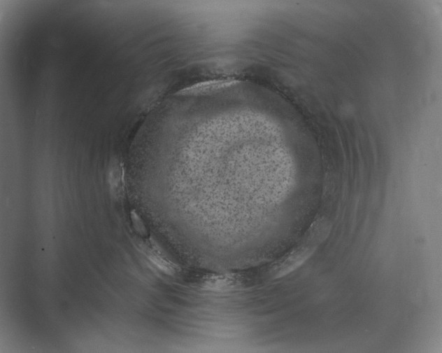 X0000072920624200608041151
