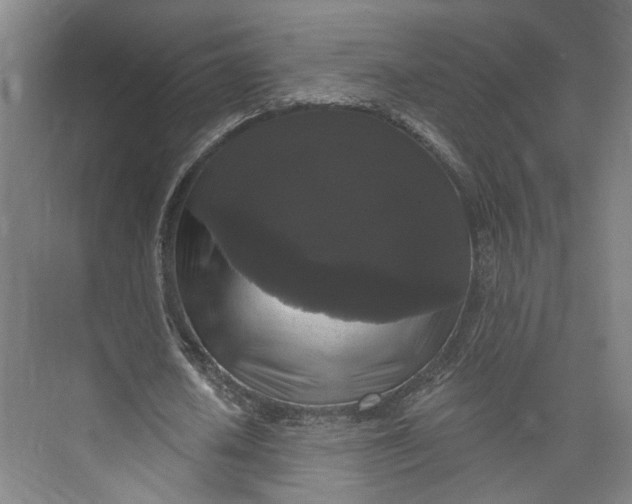 X0000072920626200608041151