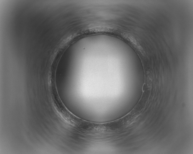 X0000072920631200608041151