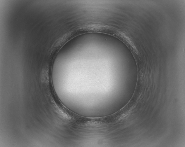 X0000072920633200608041151