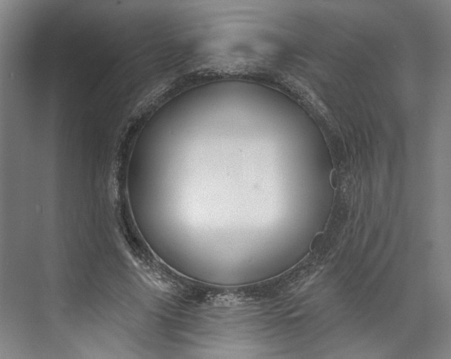 X0000072920635200608041151