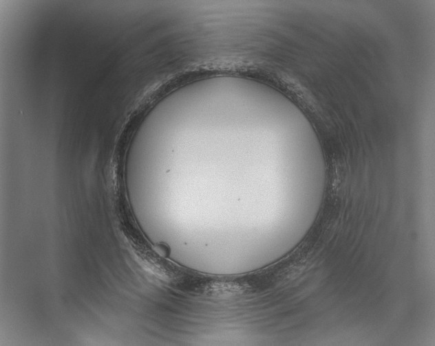 X0000072920636200608041151