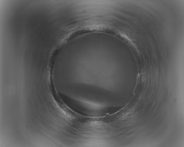 X0000072920637200608041151