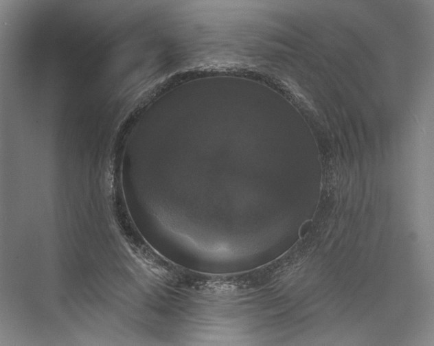 X0000072920640200608041151
