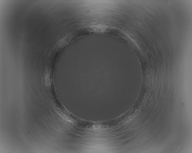 X0000072920641200608041151