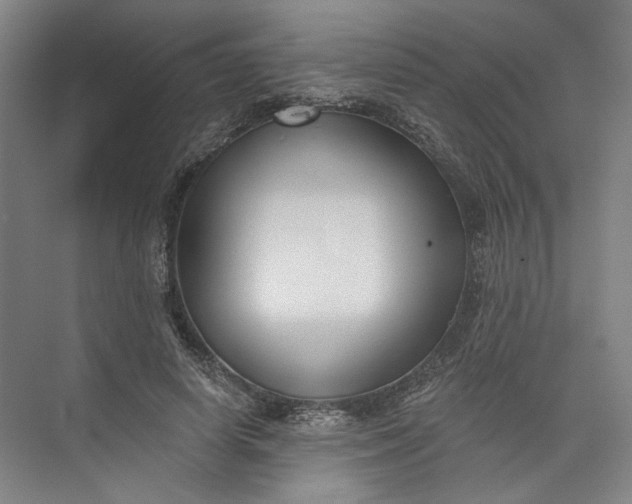 X0000072920642200608041151