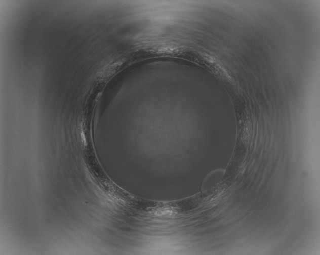 X0000072920643200608041151