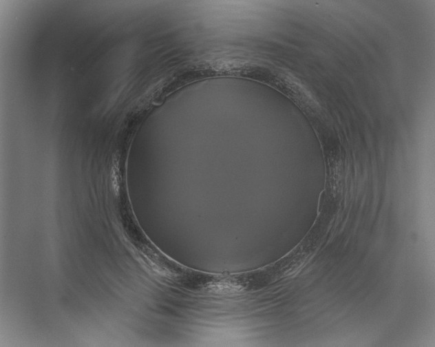 X0000072920644200608041151