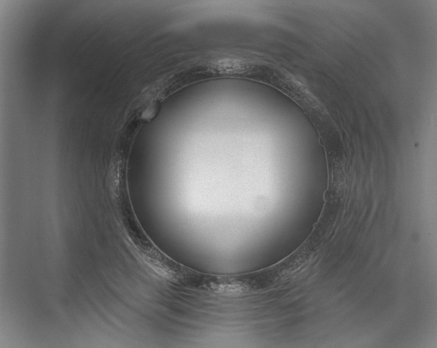X0000072920645200608041151