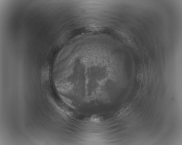 X0000072920647200608041151