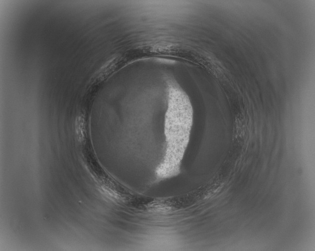 X0000072920648200608041151