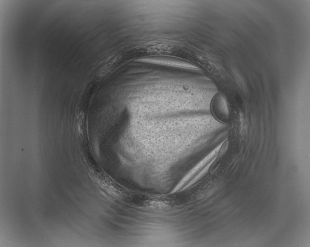 X0000072920649200608041151
