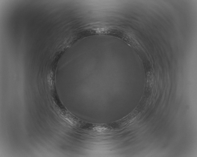 X0000072920650200608041151