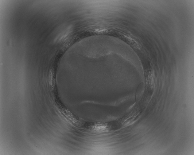 X0000072920651200608041151