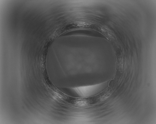 X0000072920653200608041151