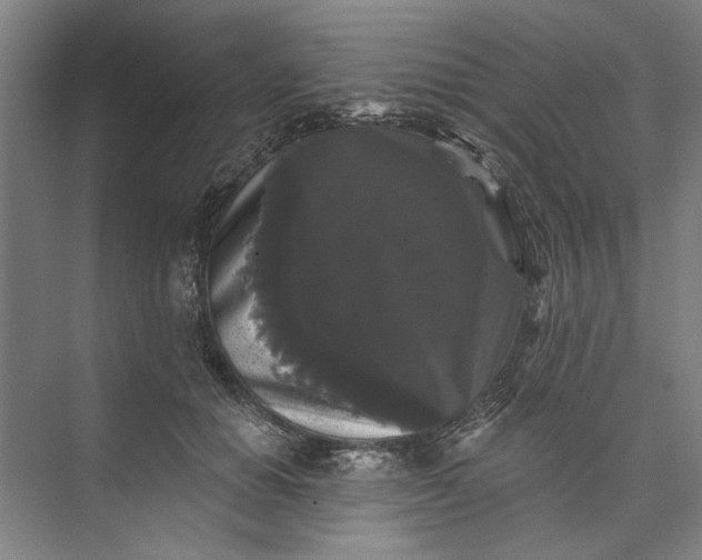 X0000072920654200608041151