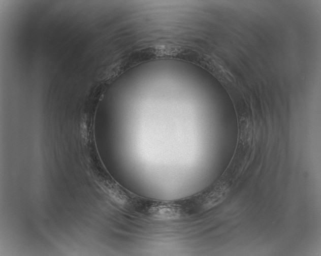 X0000072920655200608041151