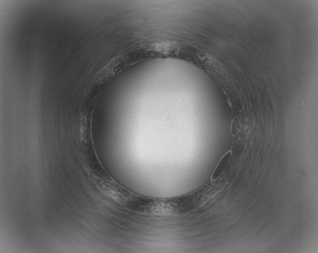 X0000072920656200608041151