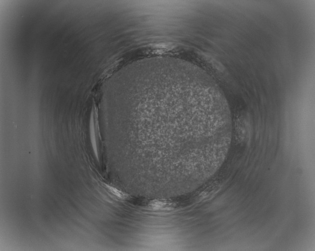 X0000072920657200608041151