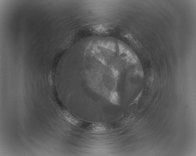 X0000072920658200608041151