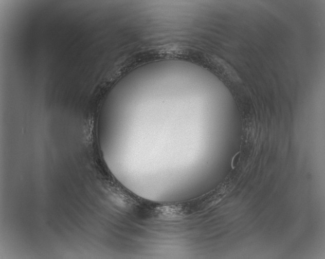 X0000072920660200608041151