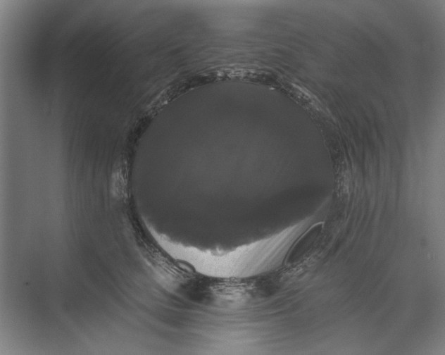 X0000072920661200608041151