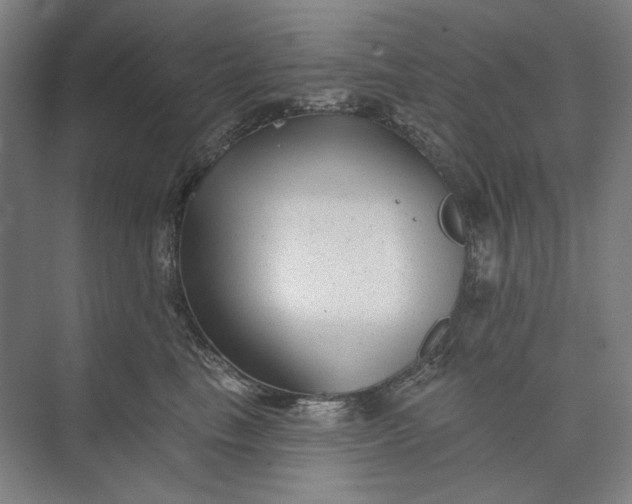 X0000072920665200608041151