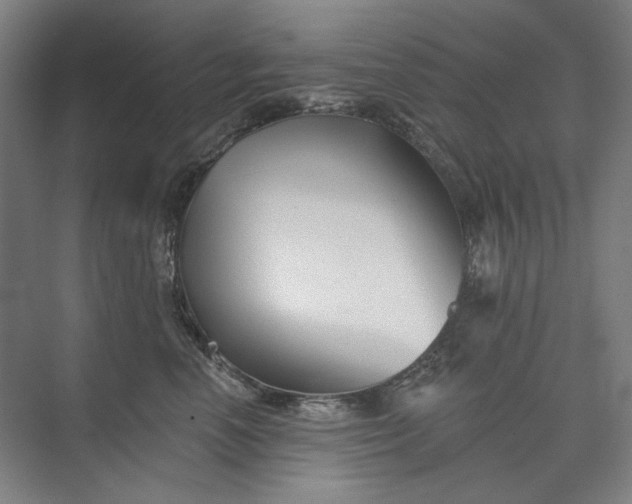 X0000072920666200608041151
