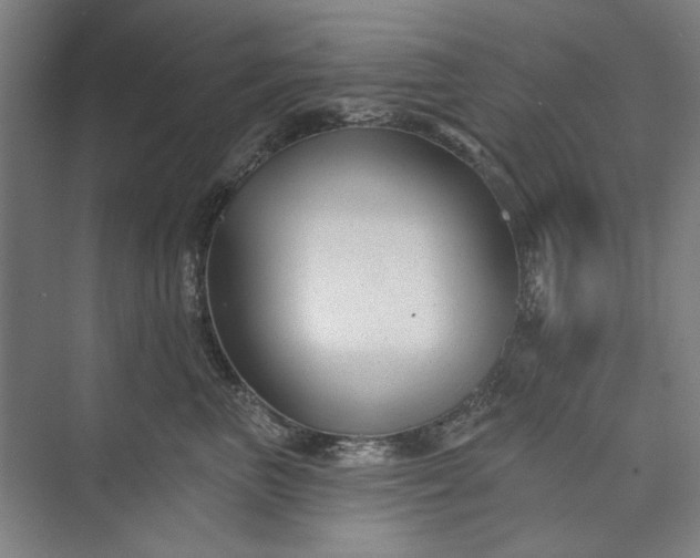 X0000072920667200608041151