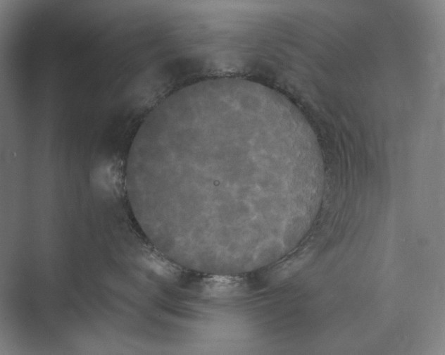 X0000072920672200608041151