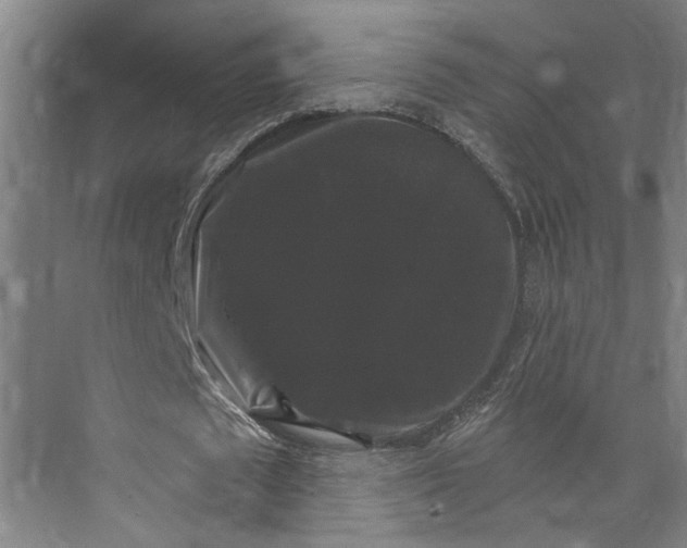 X0000072920673200608041151