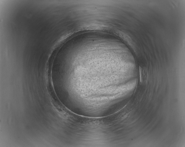 X0000072920675200608041151