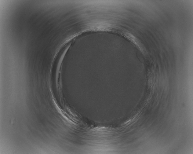 X0000072920677200608041151