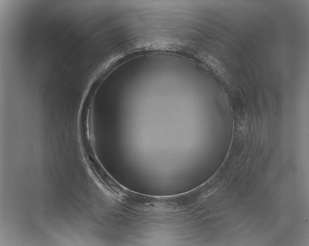 X0000072920678200608041151