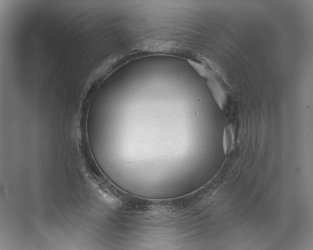 X0000072920682200608041150