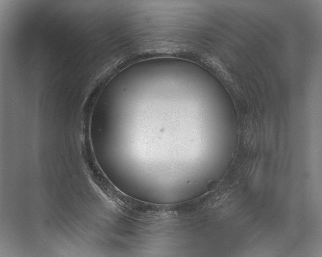X0000072920683200608041150