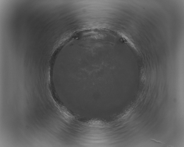 X0000072920685200608041150