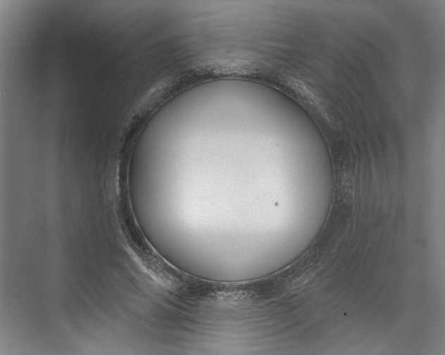 X0000072920686200608041150