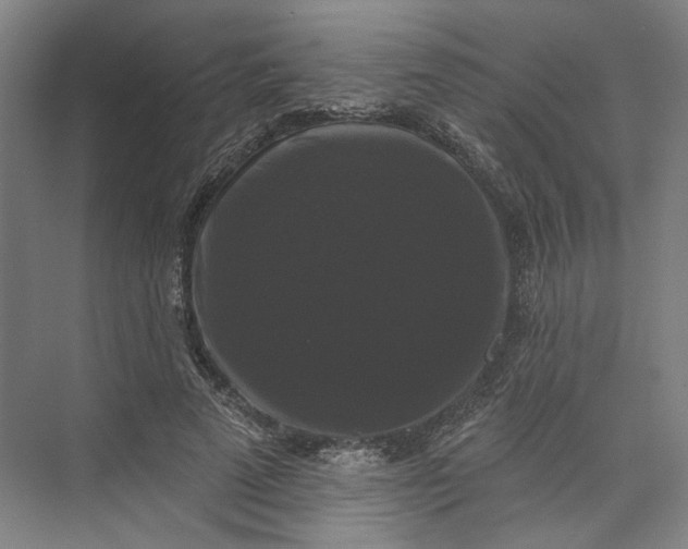X0000072920689200608041150