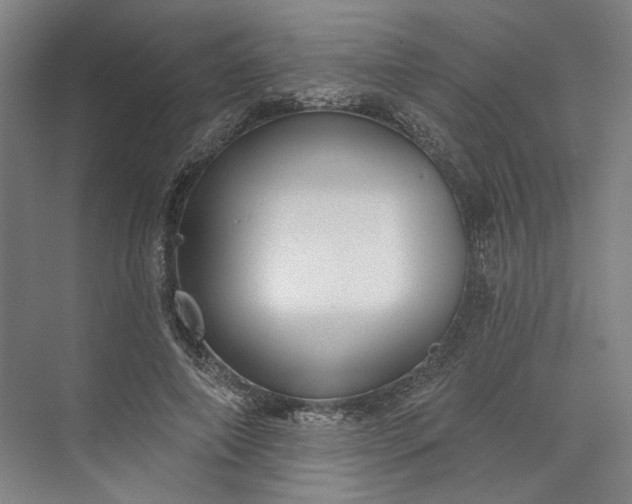 X0000072920690200608041150