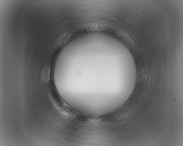 X0000072920694200608041150