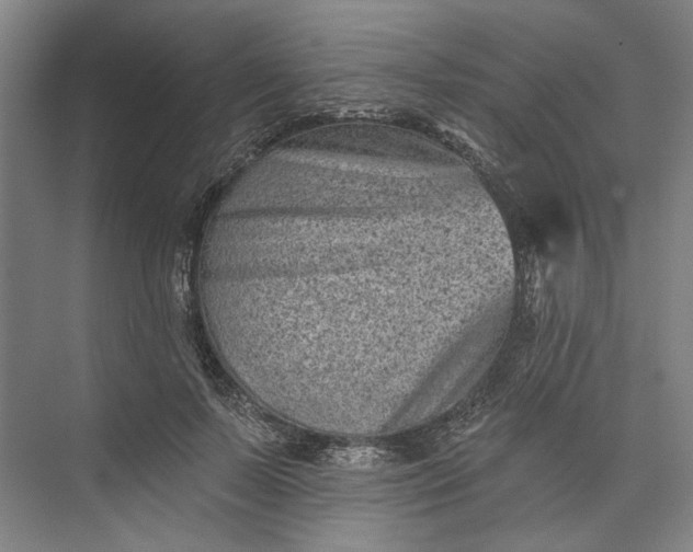 X0000072920695200608041150