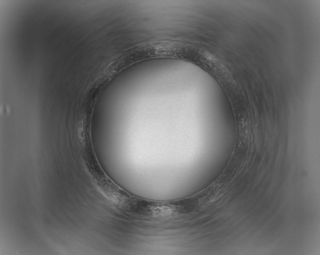 X0000072920698200608041150
