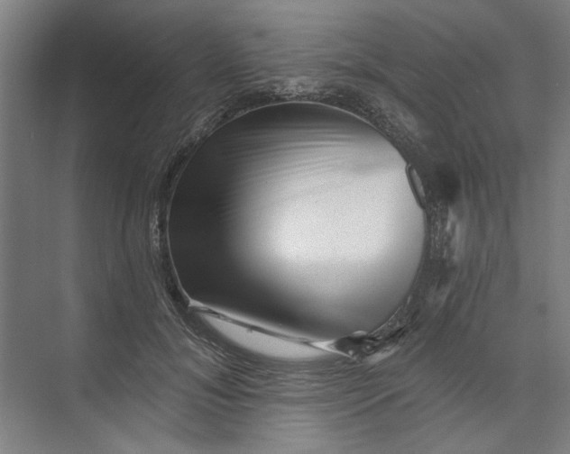 X0000072920700200608041150