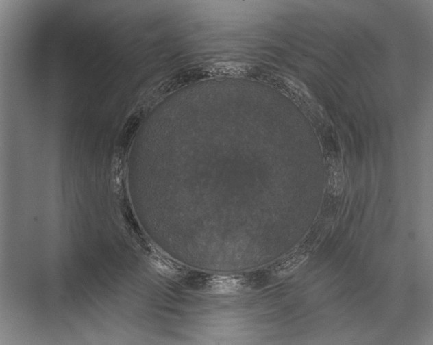 X0000072920701200608041150