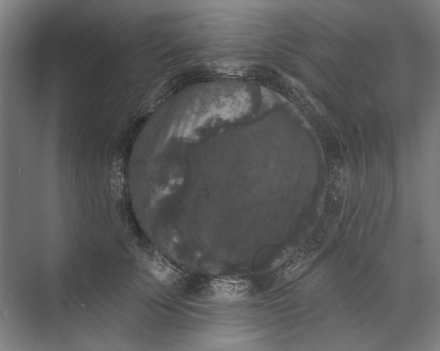 X0000072920707200608041150
