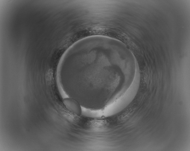 X0000072920711200608041150